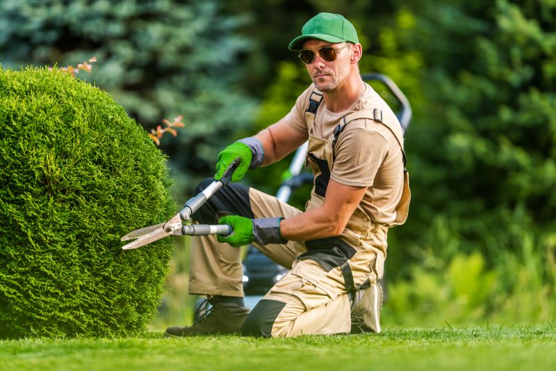 Shrubs Removal detail