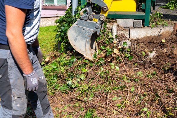 Hedge Removal Service in Anaheim