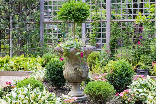 Topiary Pruning in Anaheim