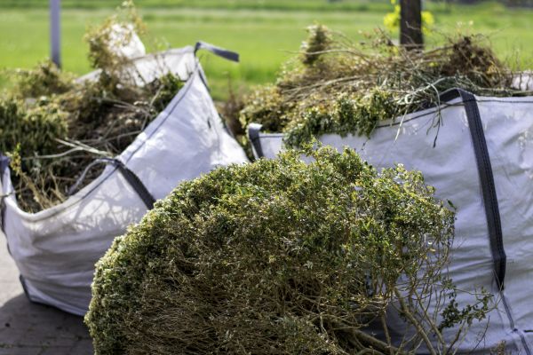 Shrubs Removal in Anaheim