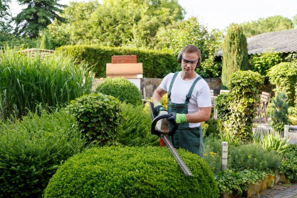 Shrubs Trimming in Anaheim