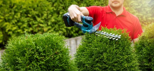 Hedge Shaping Service in Anaheim